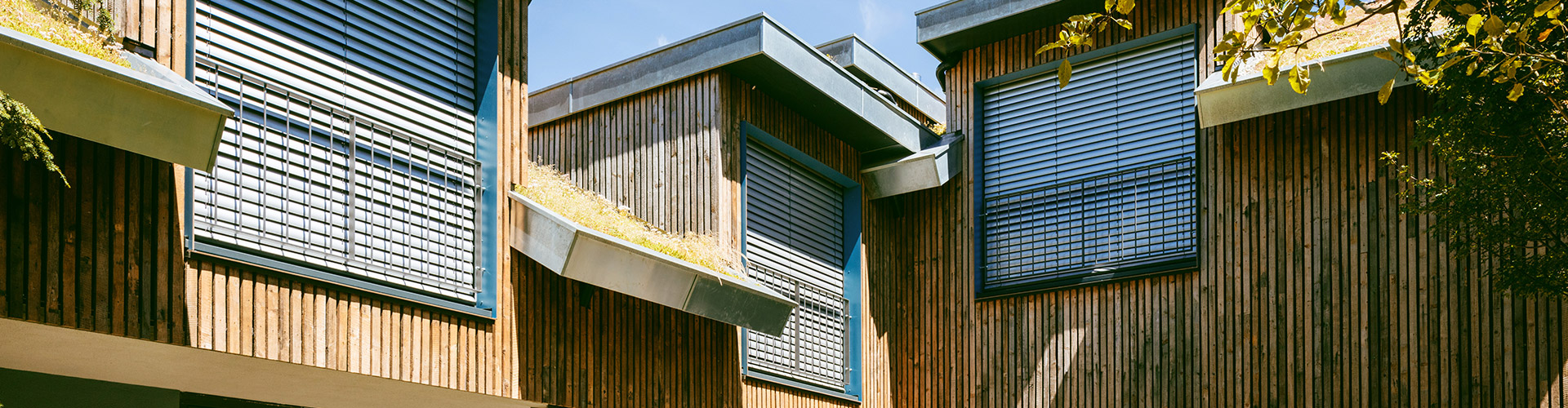 6aLCLHH0b2nExDRp1bsoh0jaWKI2dt